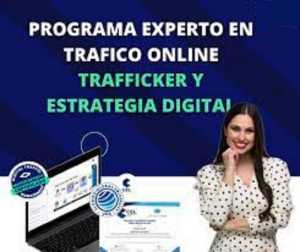 Experto en Trafficker y Estrategia digital