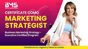 Business marketing strategy vilma nuñez
